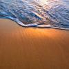 shore